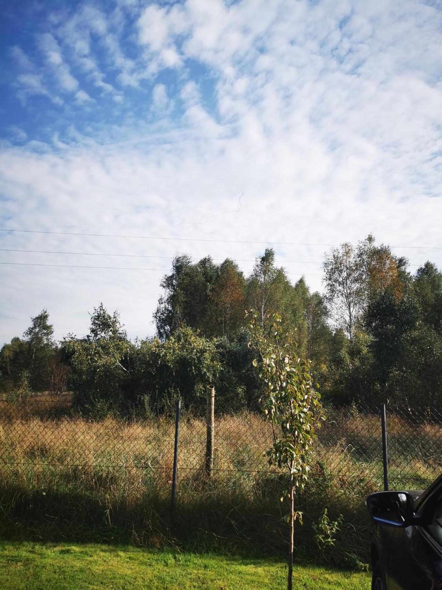 Stilove Wydmy Sasino Oda fotoğraf